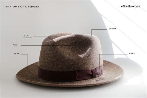 trilby fedora|what does a fedora look like.